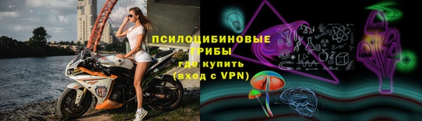 эйфоретик Алексин