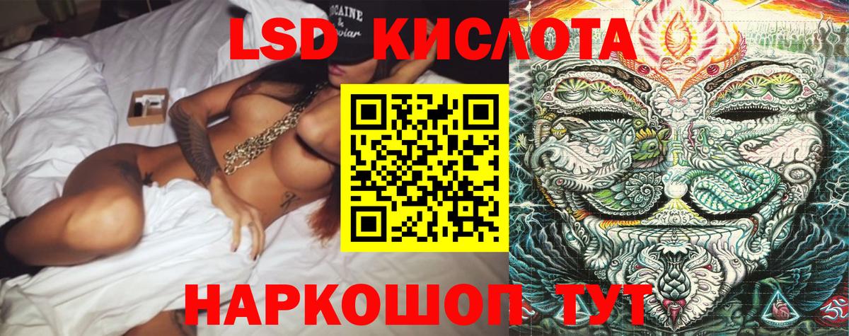 Бердск  Наркотические марки 1,8мг  Наркотические марки 1,8мг  Вход с VPN 