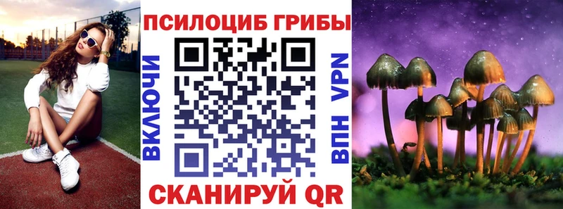 мега ссылка Бердск Галлюциногенные грибы Psilocybine cubensis