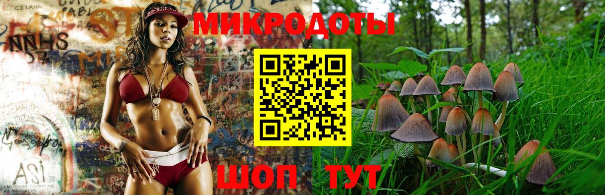 Бердск  Галлюциногенные грибы MAGIC MUSHROOMS  Вход с VPN 